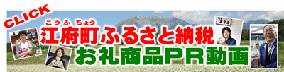 ふるさと納税PR動画