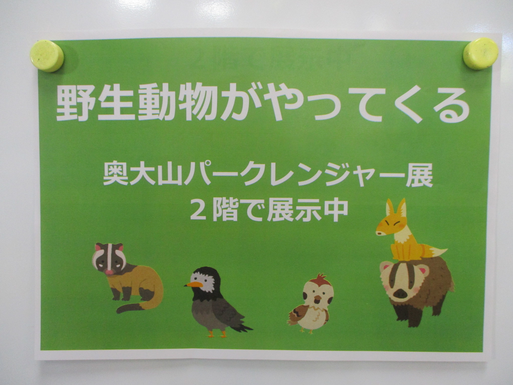 奥大山パークレンジャーによる野生生物関連の展示について