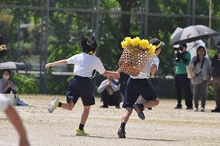 ONE TEAM (1).jpg