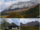 紅葉バナー2019縦.png