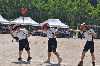 玉入れ (6).jpg