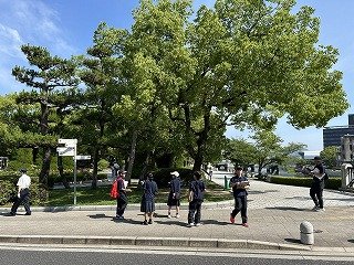 IMG_9665.jpg