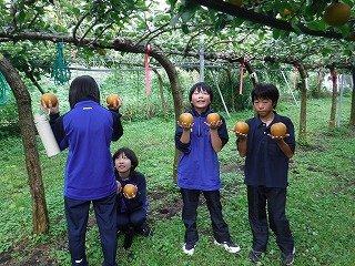 DSCF4259.jpg