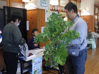 251218　大根販売① (5).JPG