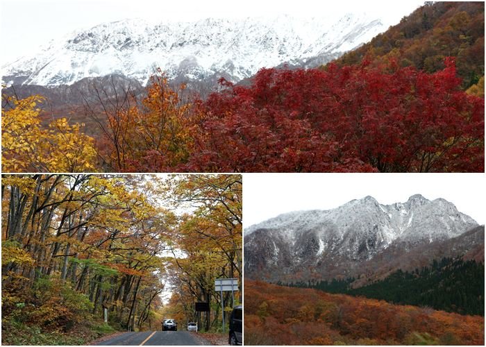 冠雪の大山と紅葉