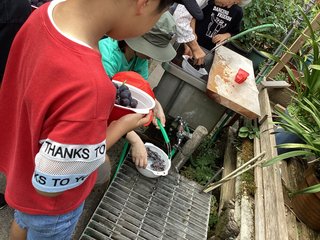 IMG_3314.JPG