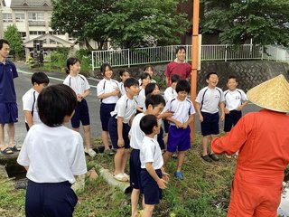 1 IMG_0530.JPG2.JPG