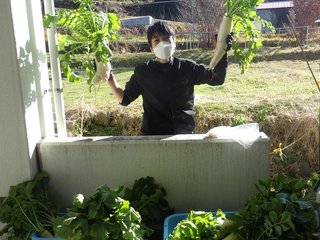 251218　大根販売① (1).JPG