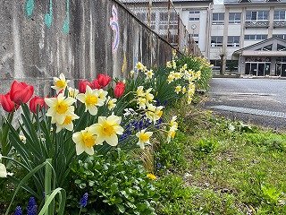 IMG_7447.jpg