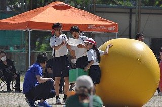大玉 (7).jpg