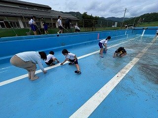 IMG_8227.jpg