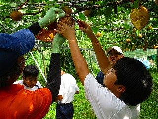 IMG_7154.jpg