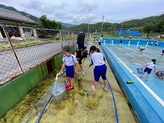 IMG_8228.jpg