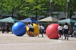 大玉 (3).jpg