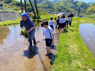 250508田植え (7).jpg