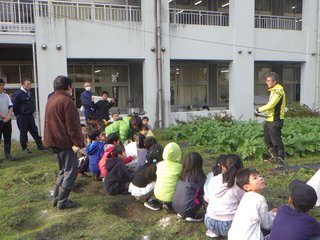 251126大根収穫 (33).JPG