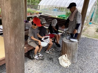 IMG_3316.JPG
