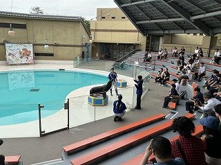 IMG_8128.jpg