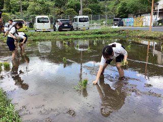 5 IMG_0538.JPG