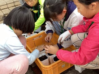 IMG_6577.JPG
