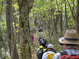 DSC_4490.JPG