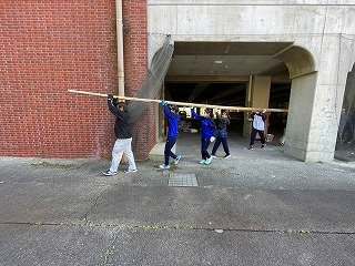 250426　こいのぼりボランティア (8).jpg