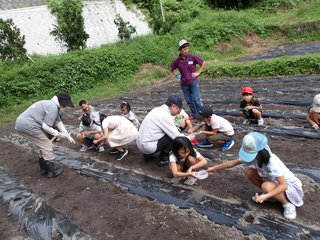 250919種まき (45).JPG