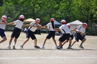 綱引き (6).jpg