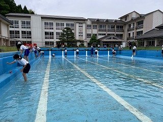 IMG_8223.jpg