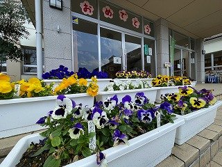 IMG_7450.jpg
