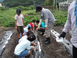 250919種まき (71).JPG